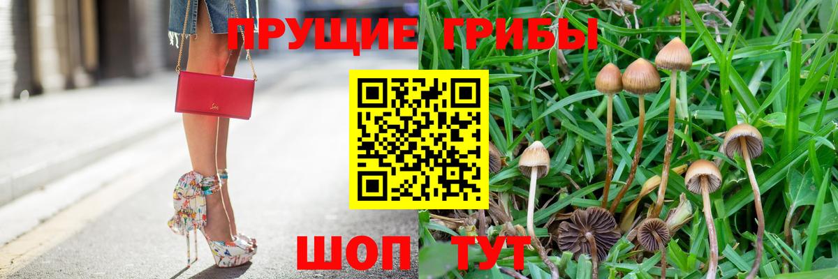 Галлюциногенные грибы ЛСД Киров
